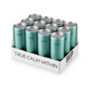 Elderflower-and-Mint-CBD-12-case-SKIP-cans